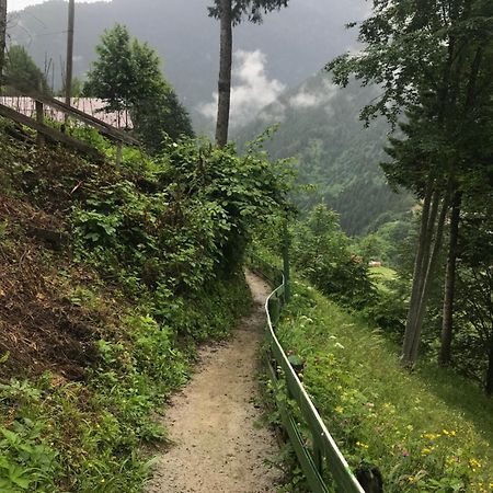 Maneviga Cafe & Apart Aparthotel Uzungöl Luaran gambar