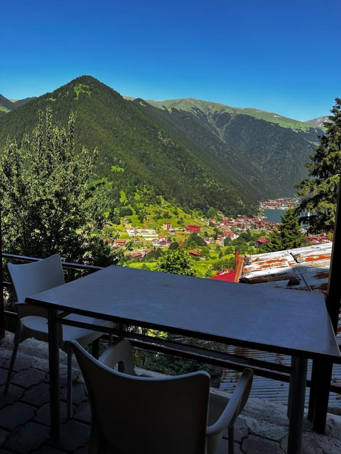 Maneviga Cafe & Apart Aparthotel Uzungöl Luaran gambar