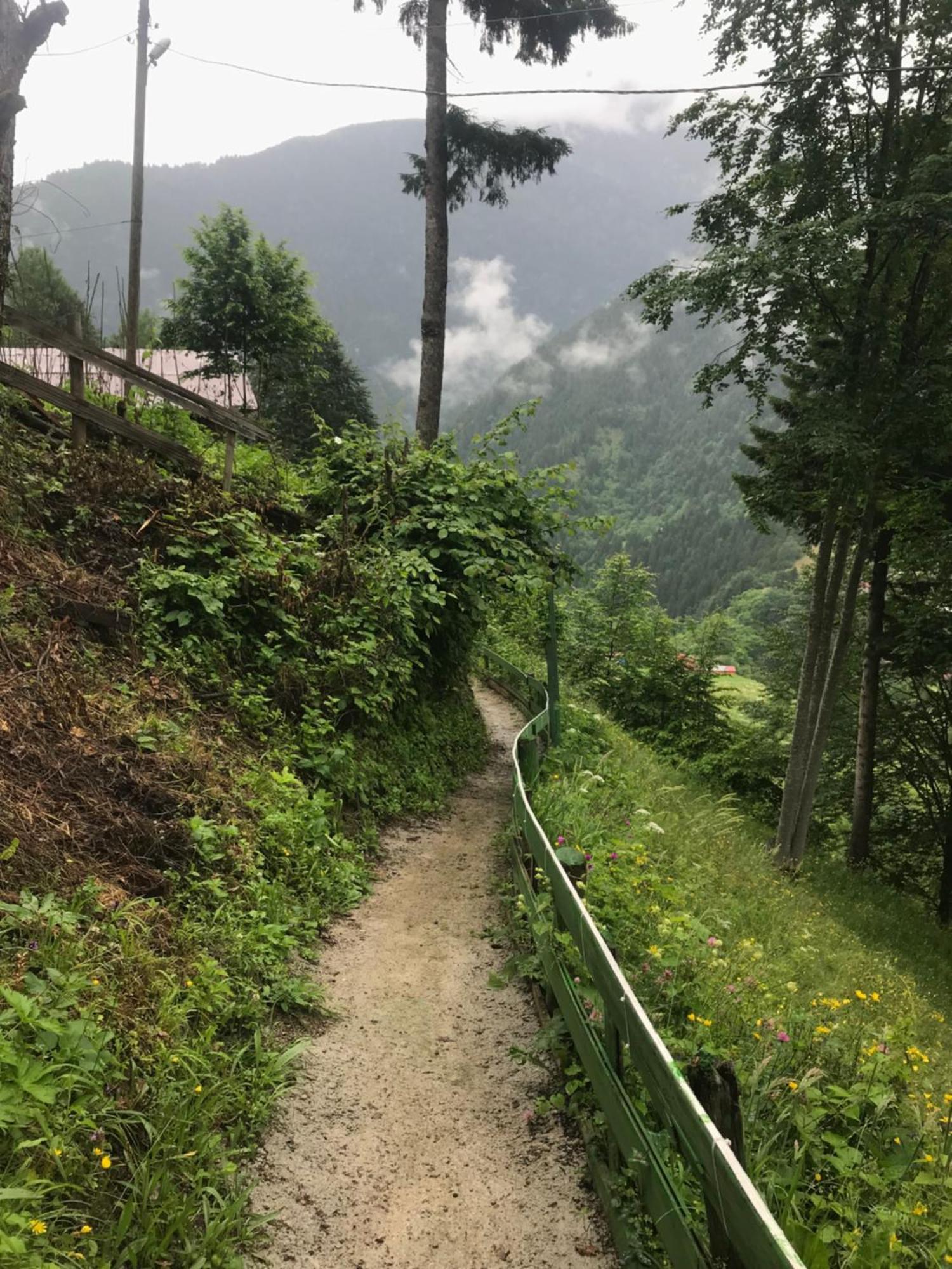 Maneviga Cafe & Apart Aparthotel Uzungöl Luaran gambar