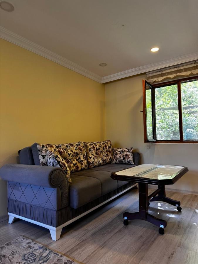Maneviga Cafe & Apart Aparthotel Uzungöl Luaran gambar