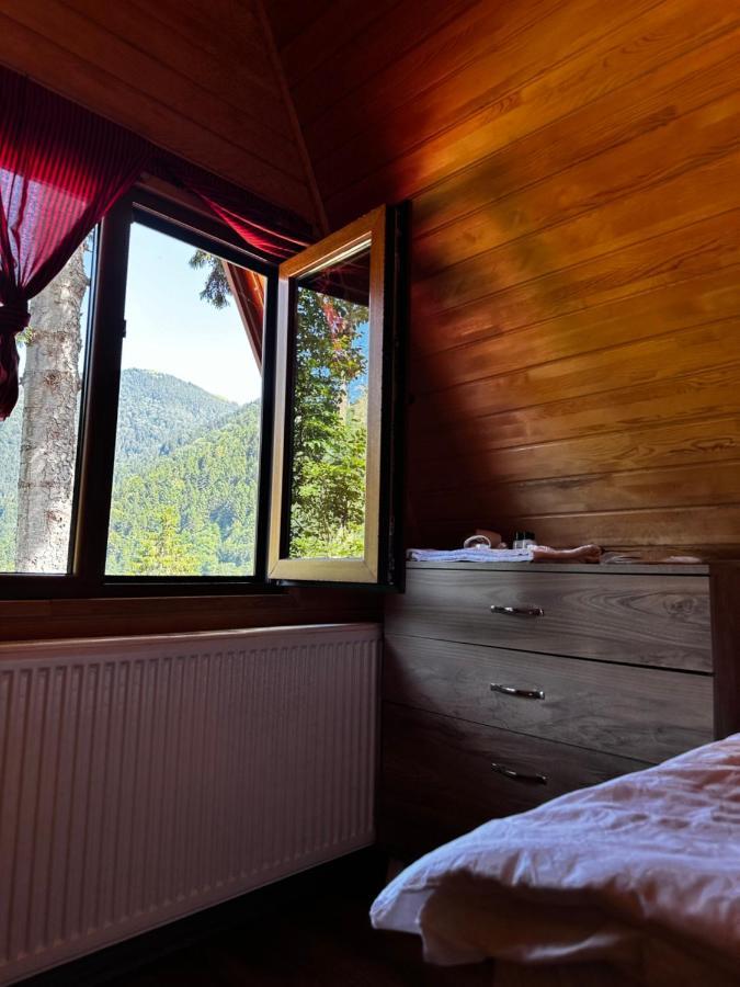 Maneviga Cafe & Apart Aparthotel Uzungöl Luaran gambar