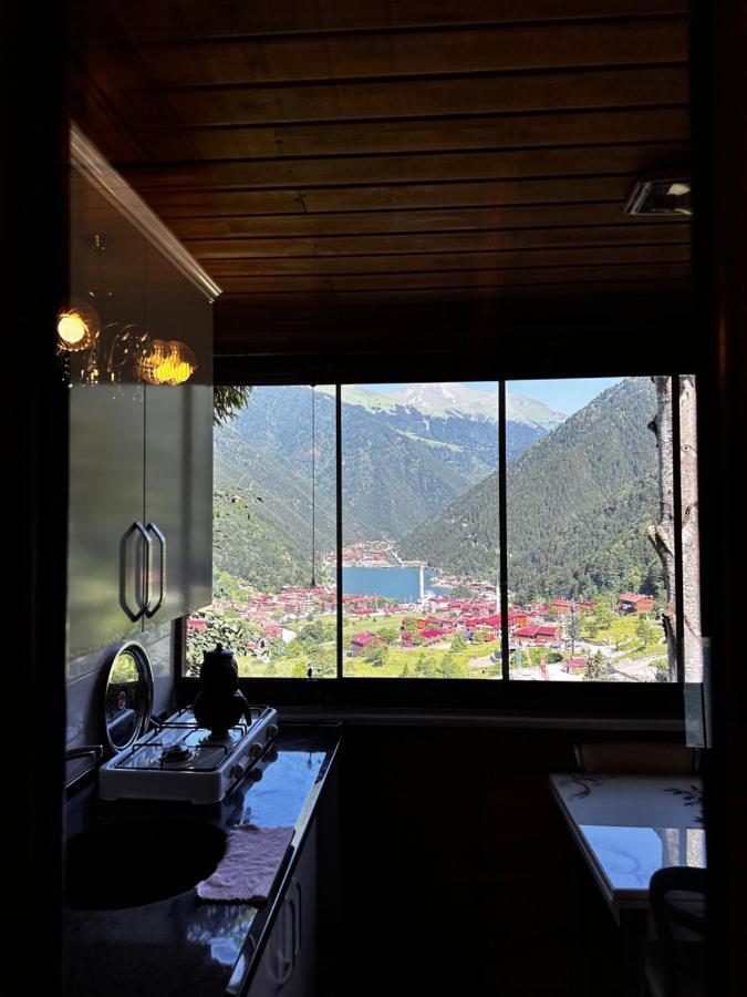 Maneviga Cafe & Apart Aparthotel Uzungöl Luaran gambar