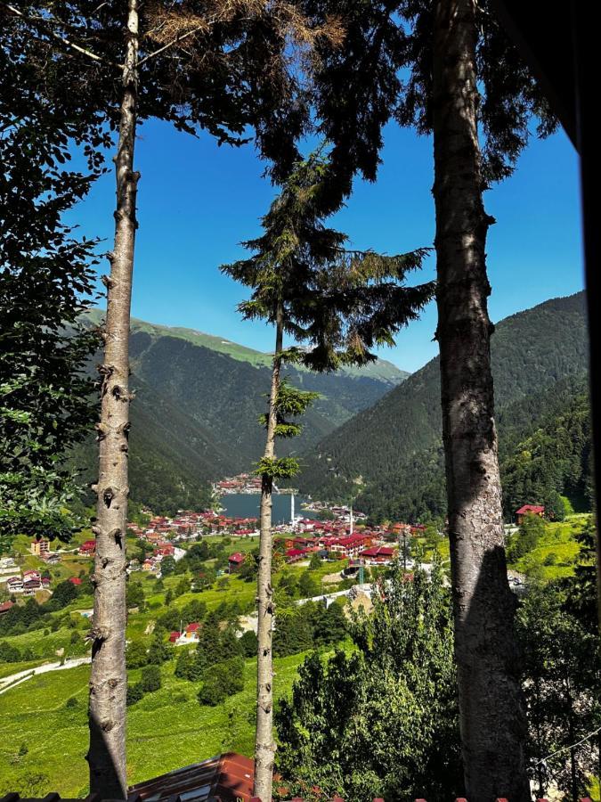 Maneviga Cafe & Apart Aparthotel Uzungöl Luaran gambar
